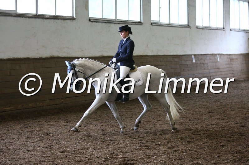 009M3333_Lettenhofs Nitritt_Dressur A.JPG